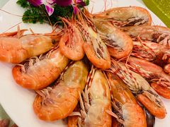 游水海虾-鸿德品位