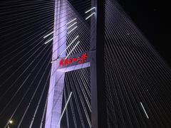 -武汉知音号