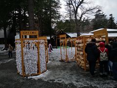 -北海道神宫
