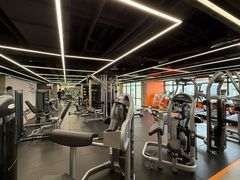 -健身专家Wellness Experts