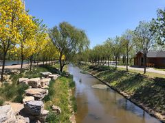 -东郊湿地公园