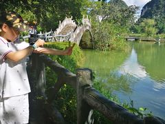 -靖西鹅泉风景区