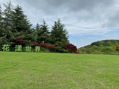 -铁山坪森林公园