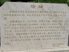 -西海子公园