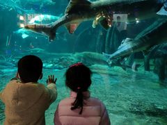 -华夏文旅海洋公园