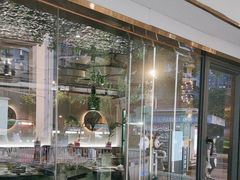 -探窝·竹笙椰子鸡(杨箕店)