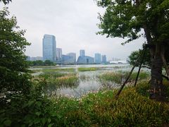 -金沙湖公园