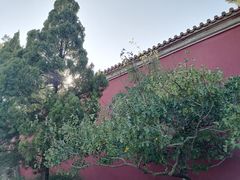 -北京市劳动人民文化宫(太庙)