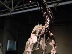 景点-世界恐龙谷景区