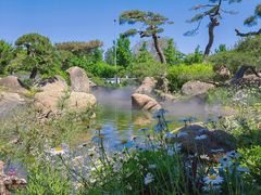 -罗红摄影艺术馆