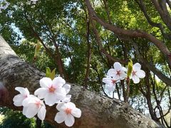 -江南大学(蠡湖校区)
