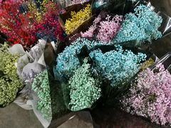-秦美花卉(天朗·莱茵小城2期店)