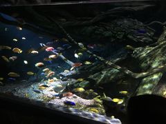 -暹罗海洋世界