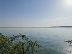 -贡湖湾湿地公园