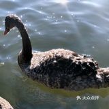 ❤️〖必打卡经景点----厦门最大湿地公园〗