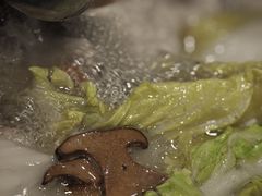 -烹然四季椰子鸡火锅(团结湖总店)
