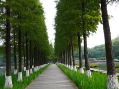 -圩墩遗址公园