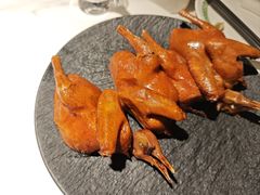 -三强鸽子(中原路店)
