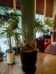 -娇玫荟SPA