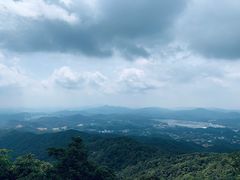 -广州市帽峰山景区