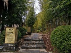 -崇阳三特浪口温泉