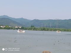 -长田漾湿地公园