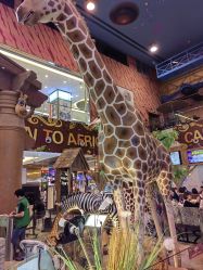 -卡通尼·Safari非洲探索乐园·生日会(金桥国际商业广场店)