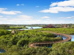 -东寨港红树林旅游区