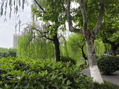 -西南交通大学(九里校区)