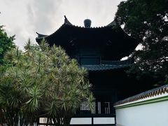-荔湾湖公园