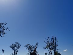 -春花秋色城市公园