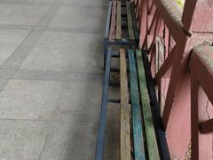 -广州市流溪河国家森林公园