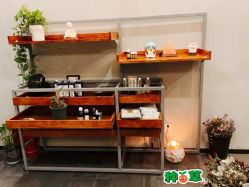 -芳香乐府疗愈空间·SPA·冥想