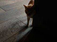 -深圳湾公园(南山区)