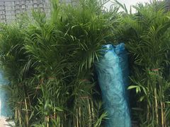 -秦美花卉(天朗·莱茵小城2期店)