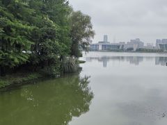 -月湖风景区