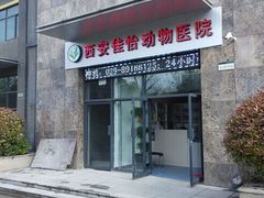 QQ图片20150421143723-佳怡动物医院·平价24小时·猫专科骨外科