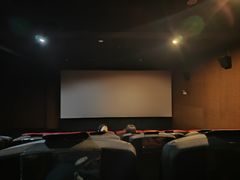 -CMC大光明影城(莲花店)