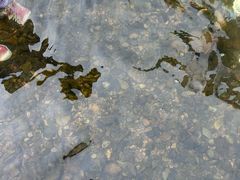 -北仑森林植物园