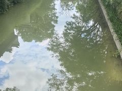 -龙潭水乡