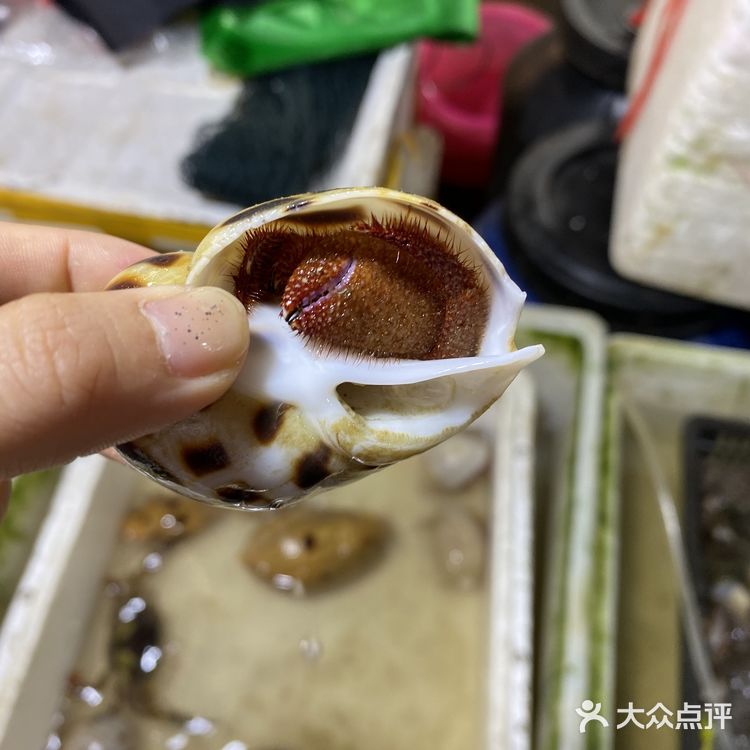 福建最美海岛之一|漳州东山岛吃住行玩全攻略
