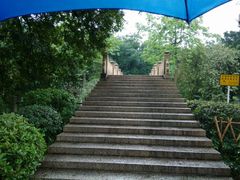 android_upload_pic-晓港公园