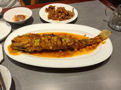 -燕春楼(海河华鼎店)