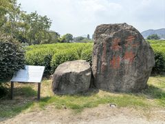 -龙坞茶村