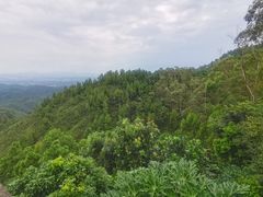 -山景山庄