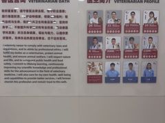 -御宝贝24h宠物医院·转诊中心·CT核磁血透中心(厦门总院)