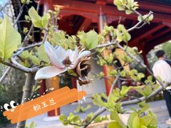 -李叔同故居纪念馆