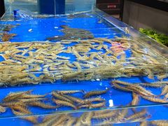 -永红源·啤酒烧烤海鲜大排档(台柳路店)