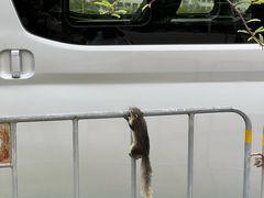 -皇家田广场(อนุสาวรีย์ทหารอาสา)