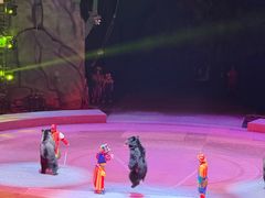-灵玲国际马戏城